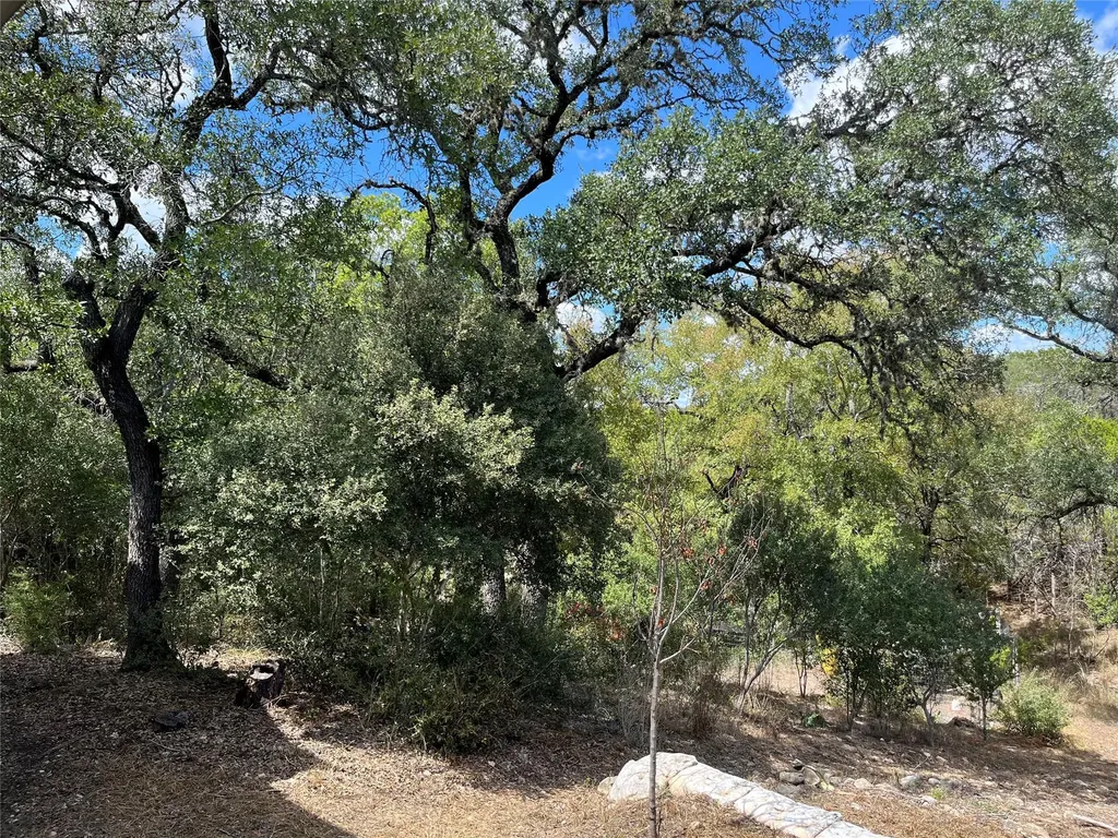 205 Homestead Road Kyle TX 78640