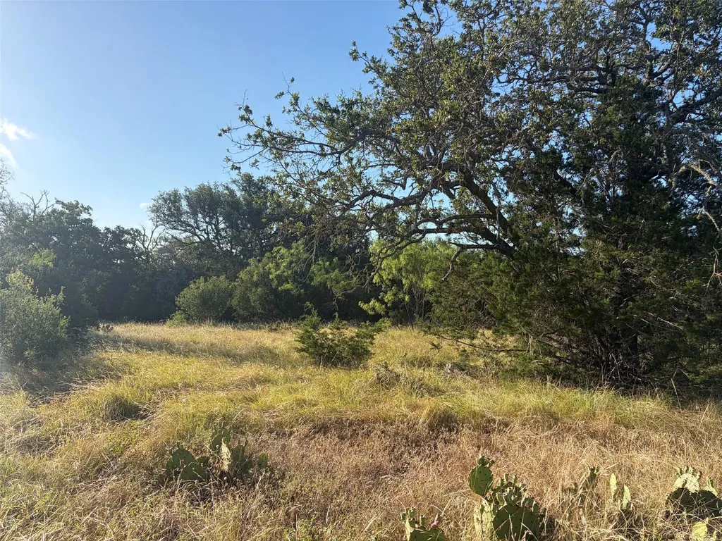 3118 Cr 404 Road Spicewood TX 78669