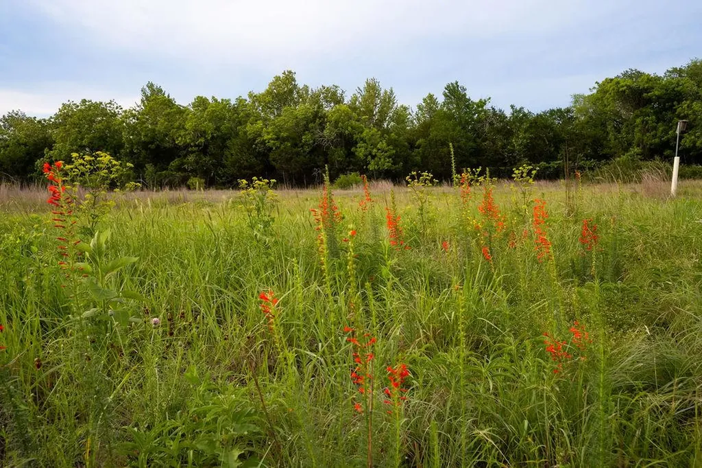 13800 Lone Rider Trail Austin TX 78738