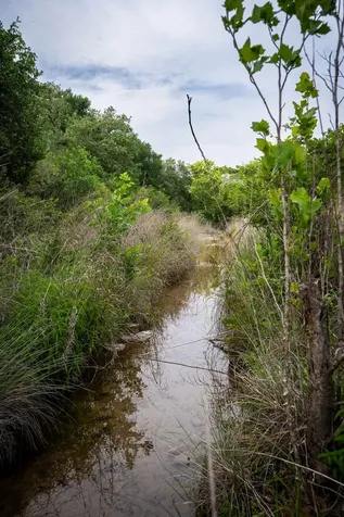13800 Lone Rider Trail Austin TX 78738