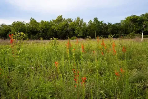 13800 Lone Rider Trail Austin TX 78738