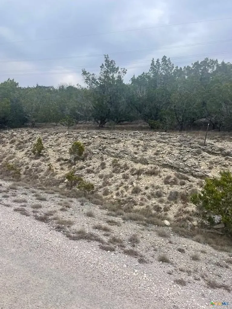 8609 Timber Trail Leander TX 78645