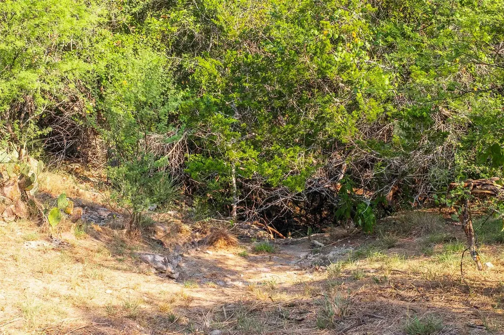 Lot 64 Wesley Ridge Drive Spicewood TX 78669