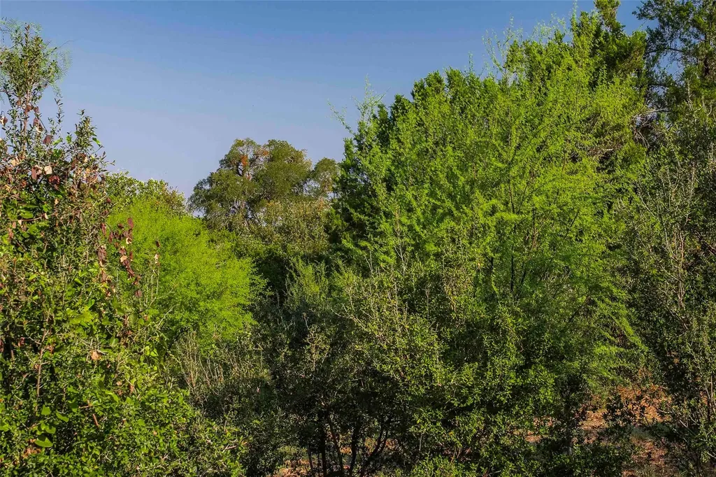 Lot 64 Wesley Ridge Drive Spicewood TX 78669