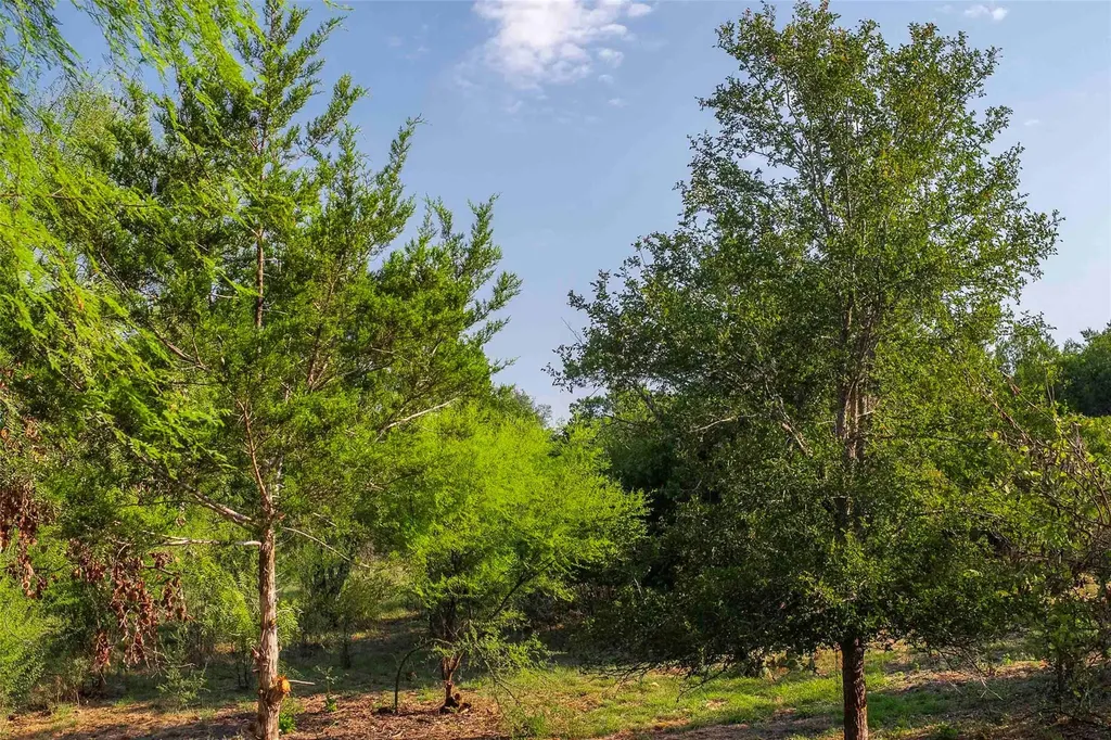 Lot 64 Wesley Ridge Drive Spicewood TX 78669