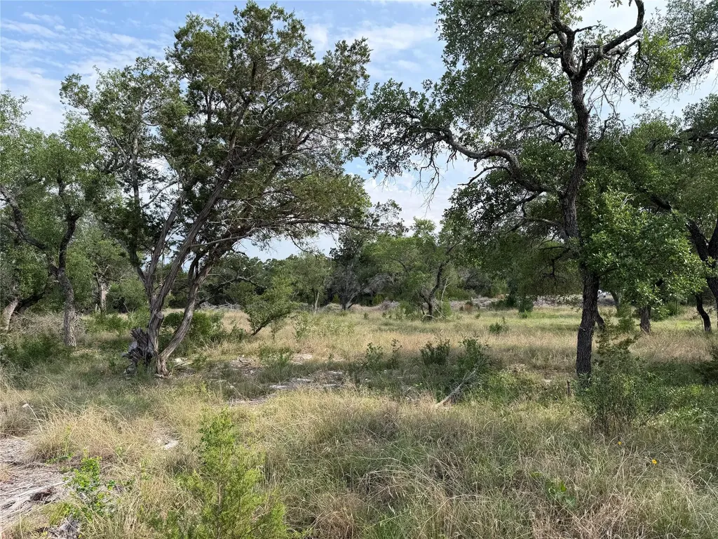 8219 Hammetts Crossing Dripping Springs TX 78663