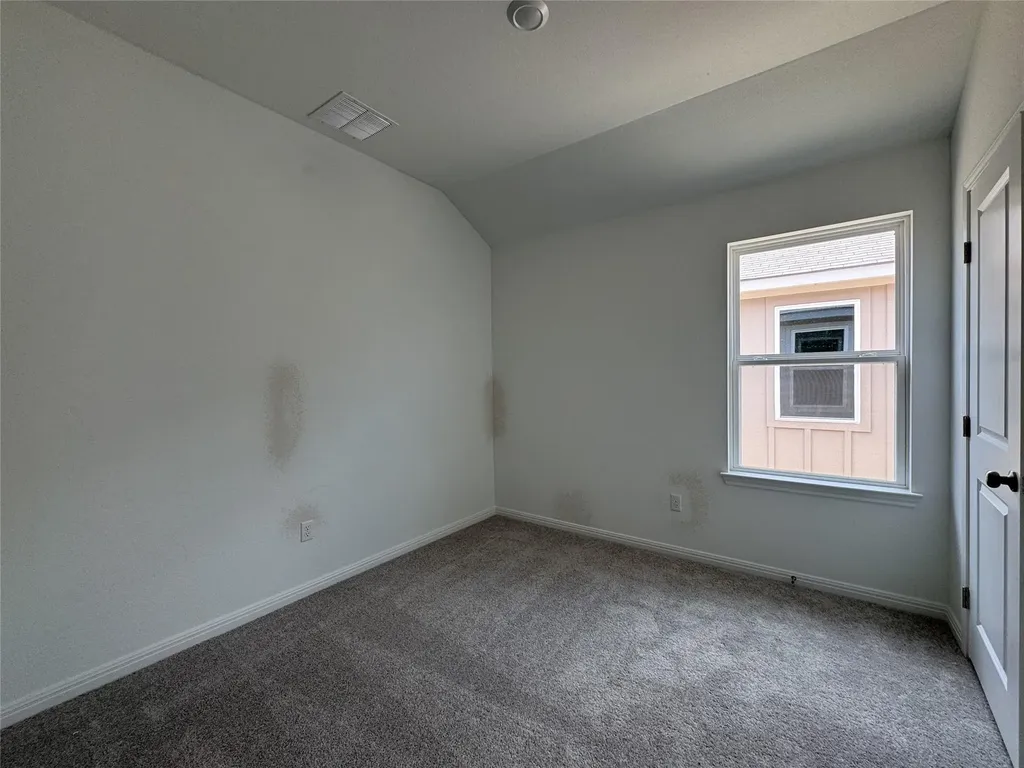 119 Bayou Mint Boulevard Buda TX 78610