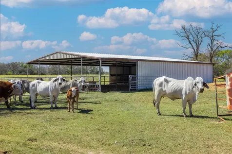 1580 County Road 377 Caldwell TX 77836