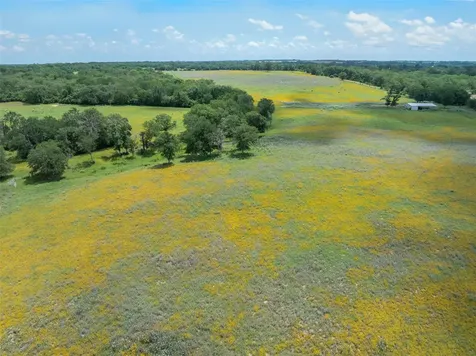 1580 County Road 377 Caldwell TX 77836