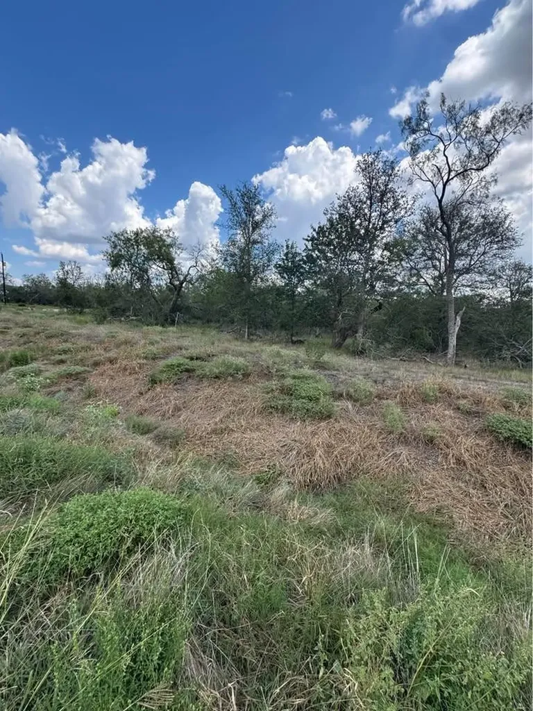 225 Brinley Mae Way Lockhart TX 78644