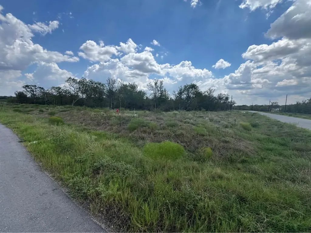 225 Brinley Mae Way Lockhart TX 78644