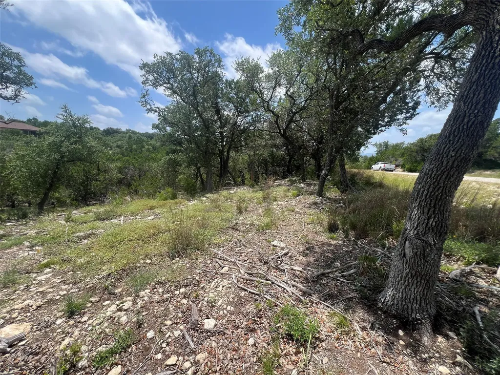 1252 Parton Road Canyon Lake TX 78133