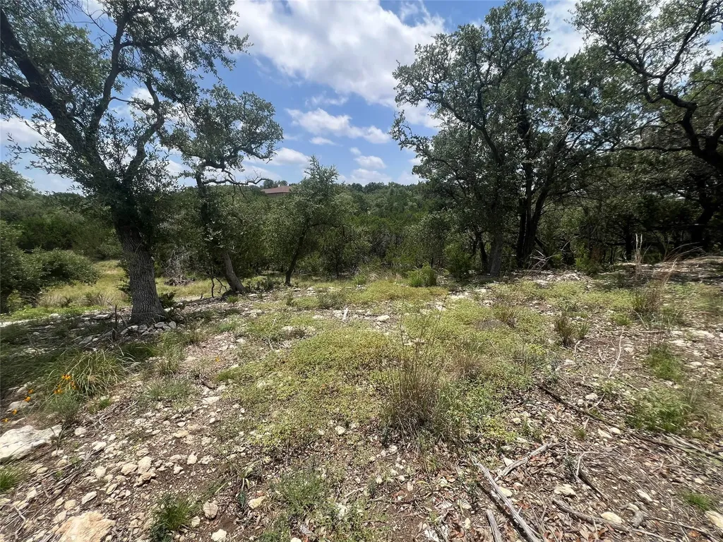 1252 Parton Road Canyon Lake TX 78133