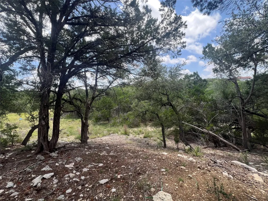 1252 Parton Road Canyon Lake TX 78133