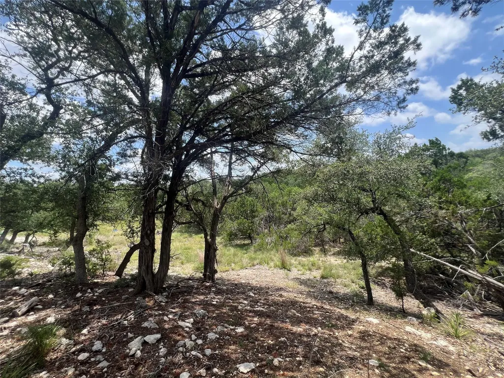 1252 Parton Road Canyon Lake TX 78133