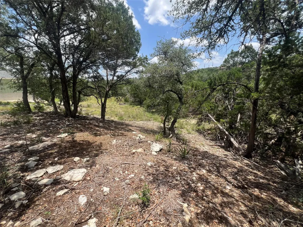 1252 Parton Road Canyon Lake TX 78133