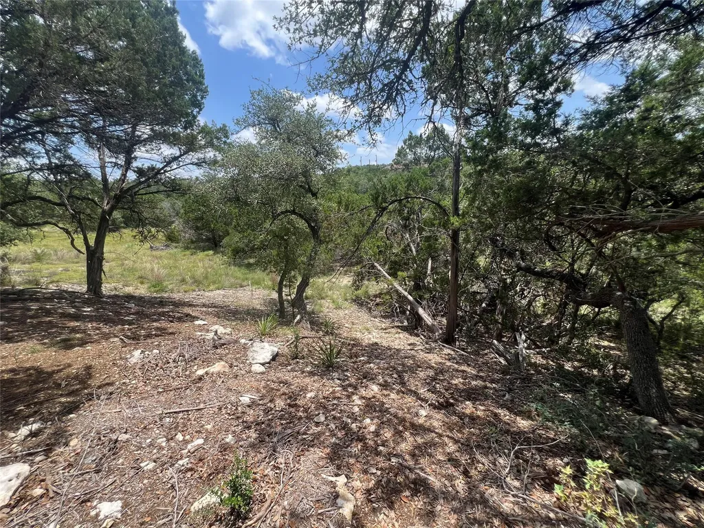 1252 Parton Road Canyon Lake TX 78133