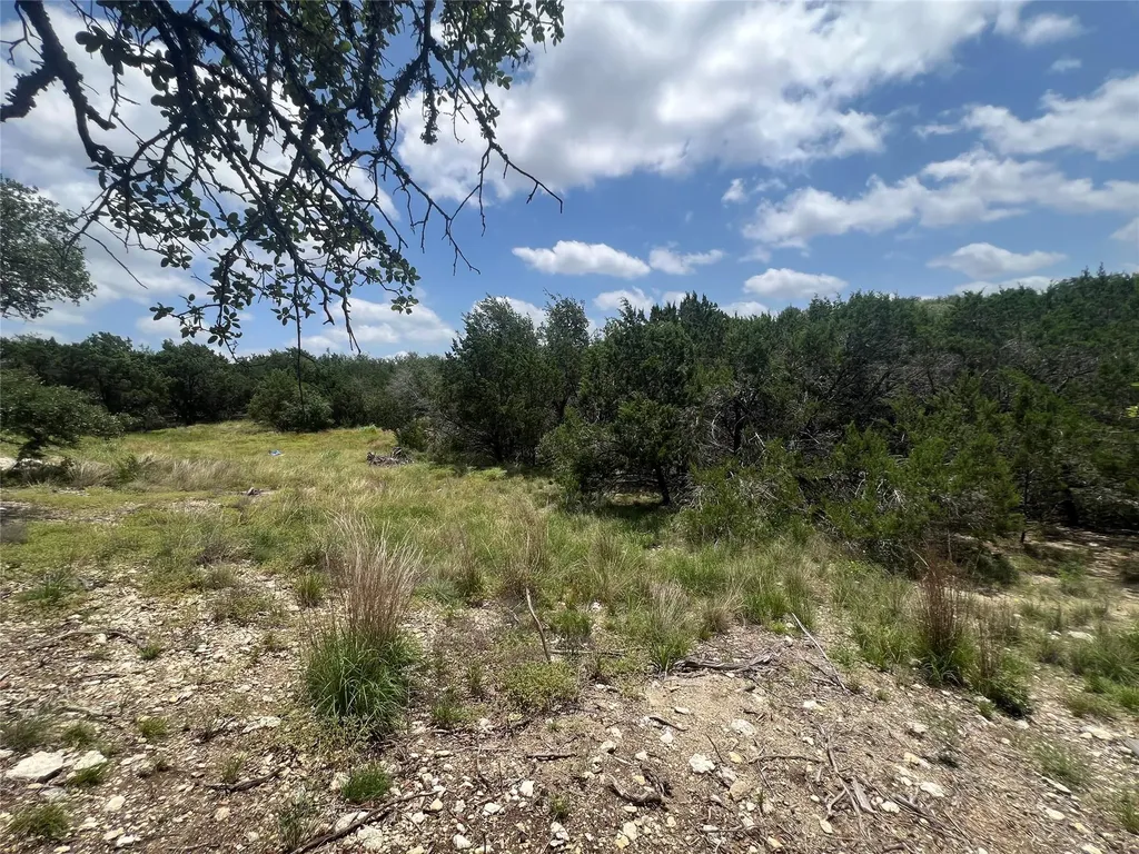 1252 Parton Road Canyon Lake TX 78133
