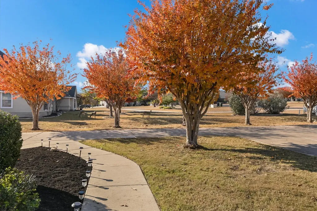117 W View Drive Georgetown TX 78628