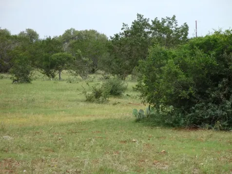 1619 Althaus Ranch Road Johnson City TX 78636