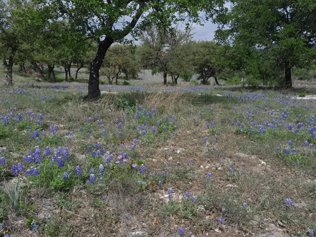 3103 Stableford Cove Spicewood TX 78669