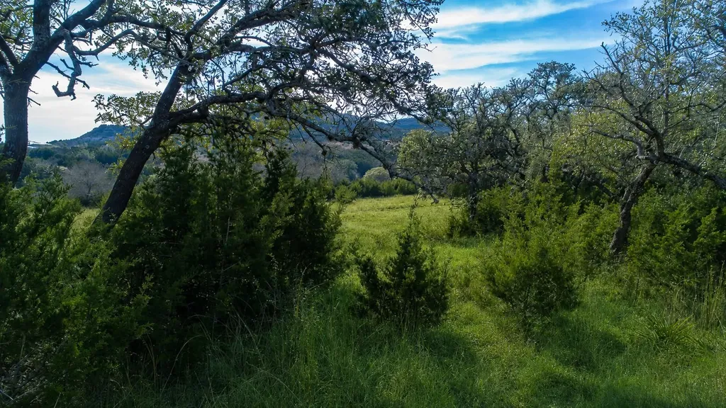 717 Bluff Ridge Trail Blanco TX 78606