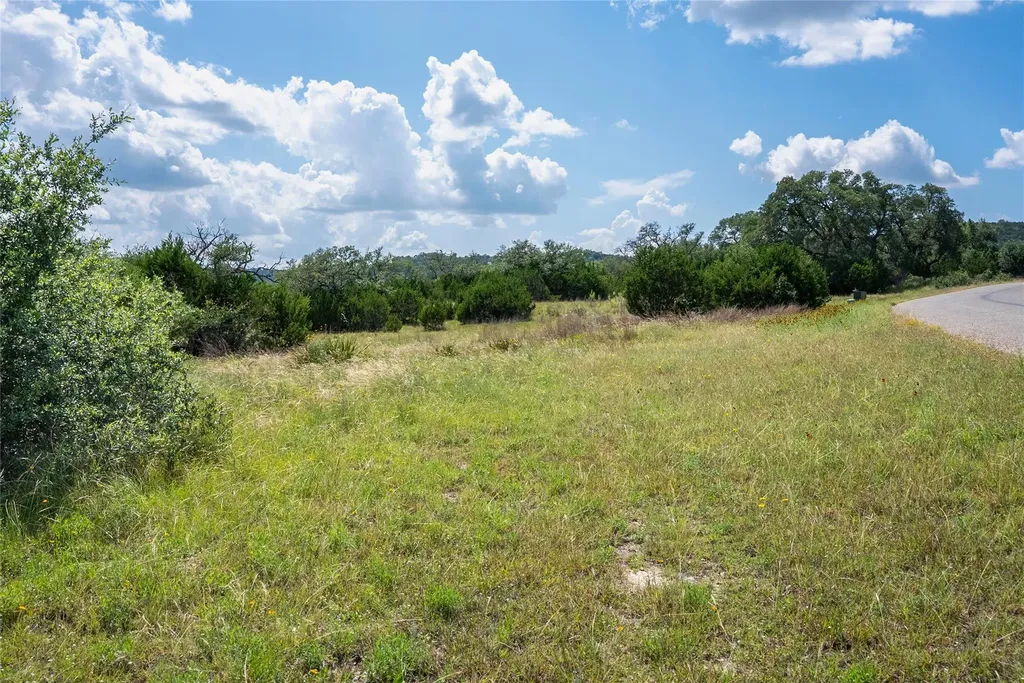 717 Bluff Ridge Trail Blanco TX 78606