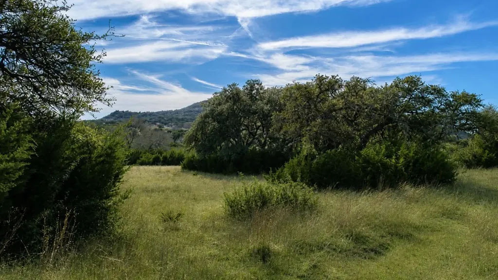 717 Bluff Ridge Trail Blanco TX 78606