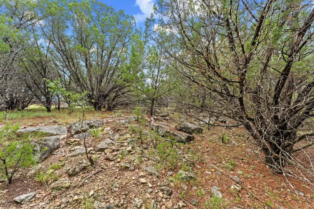 4602 Thunderbird Drive Lago Vista TX 78645
