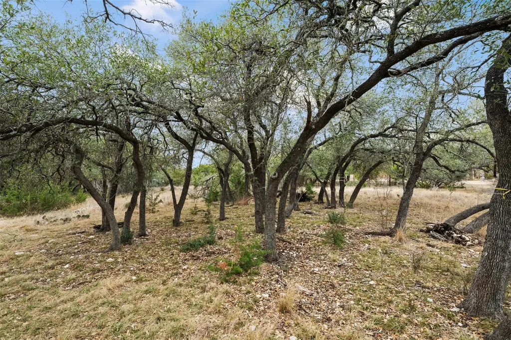 408 Ridge View Drive Georgetown TX 78628