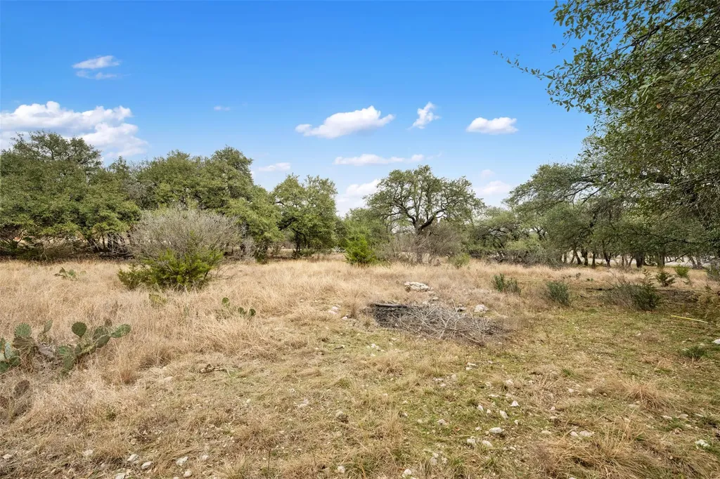 408 Ridge View Drive Georgetown TX 78628