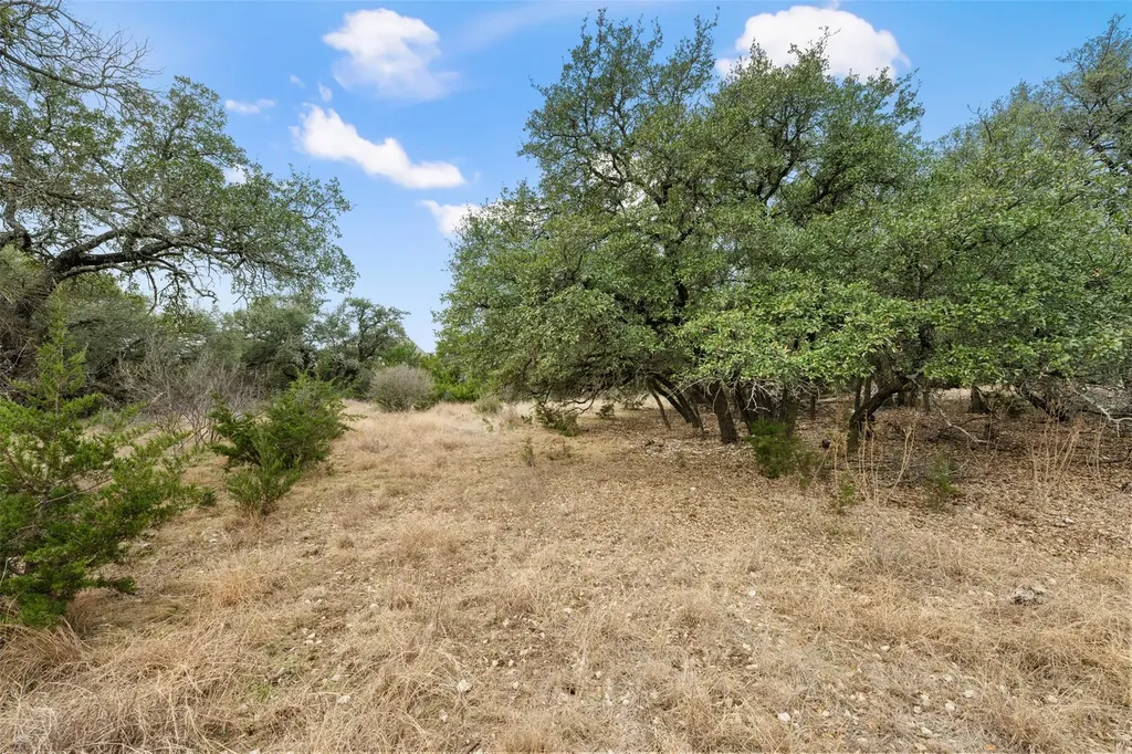 408 Ridge View Drive Georgetown TX 78628
