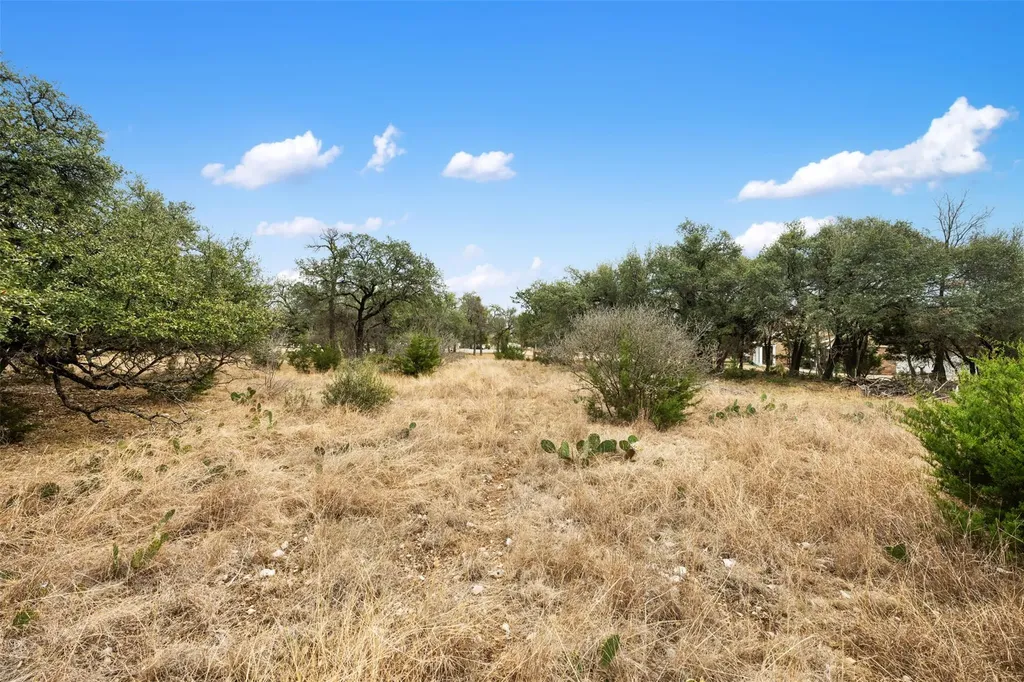 408 Ridge View Drive Georgetown TX 78628
