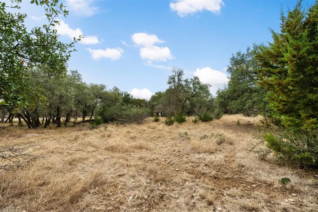 408 Ridge View Drive Georgetown TX 78628