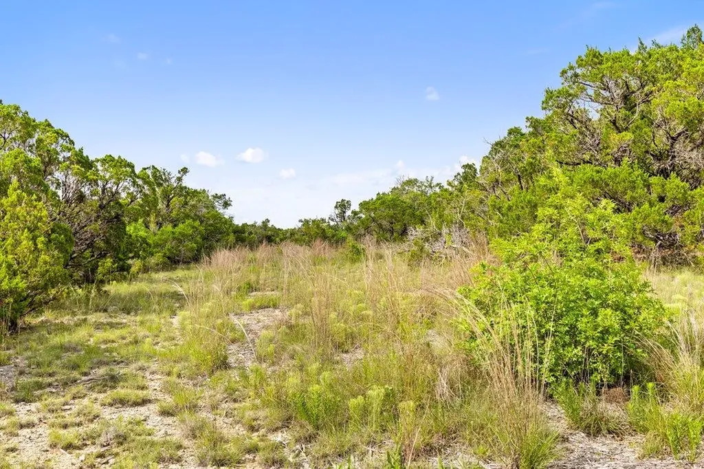 137 Glory Lane Leander TX 78641