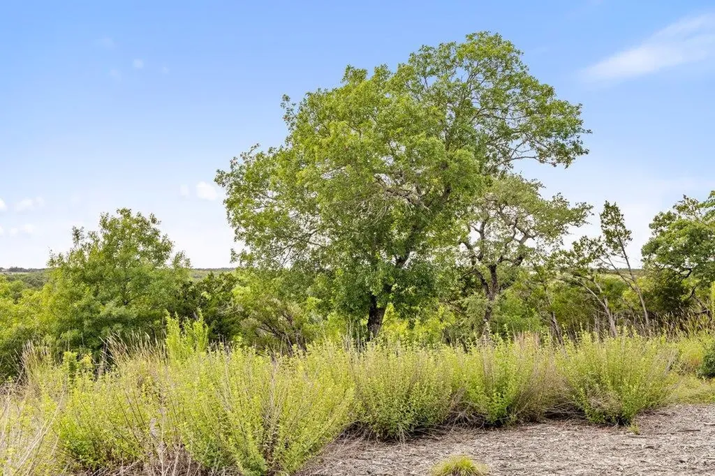 137 Glory Lane Leander TX 78641