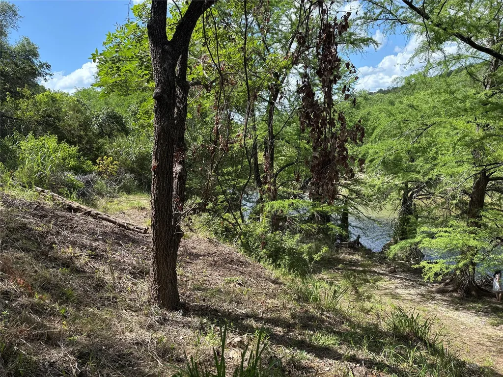 172 Bluff Trail Dripping Springs TX 78620