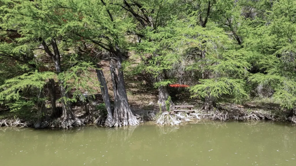 172 Bluff Trail Dripping Springs TX 78620