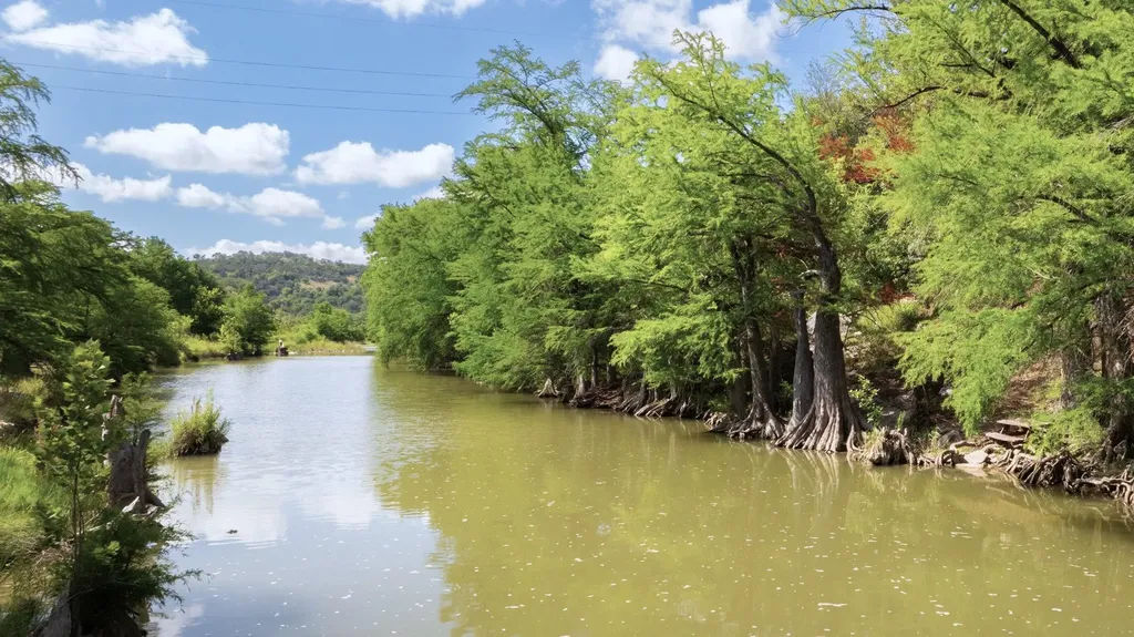 172 Bluff Trail Dripping Springs TX 78620
