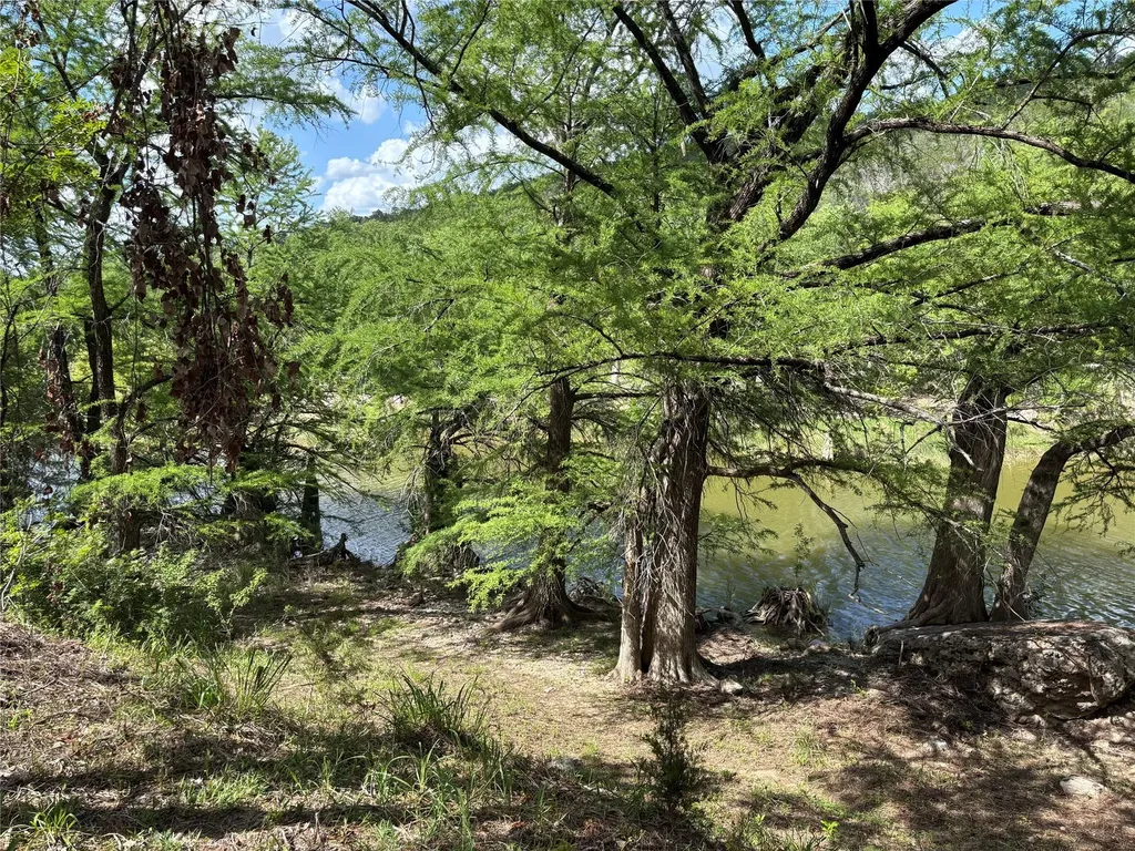 172 Bluff Trail Dripping Springs TX 78620