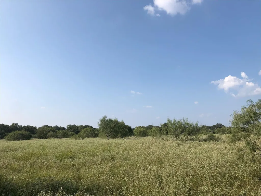 270 Wild Plum Road Lockhart TX 78644