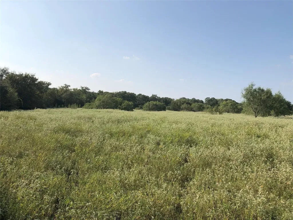 270 Wild Plum Road Lockhart TX 78644