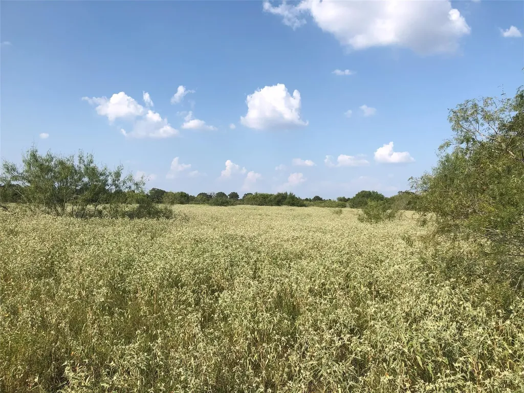 270 Wild Plum Road Lockhart TX 78644