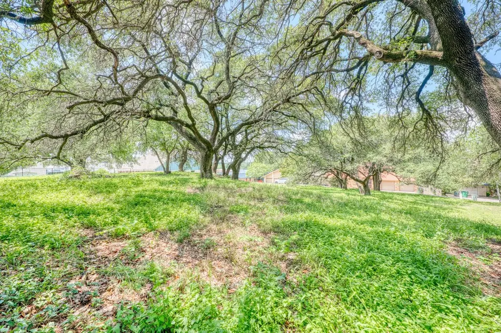121 Hidden Oaks Drive Kingsland TX 78639