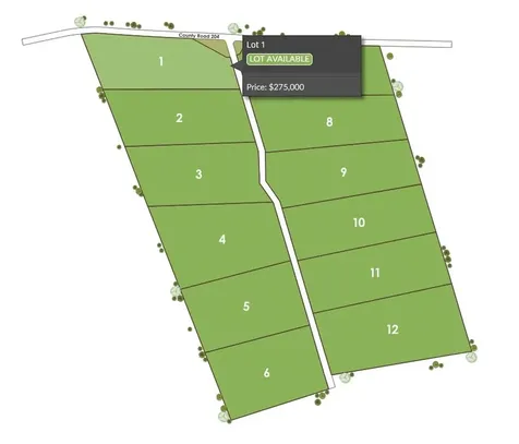1115 Tract - 1 County Road 204 Burnet TX 78611