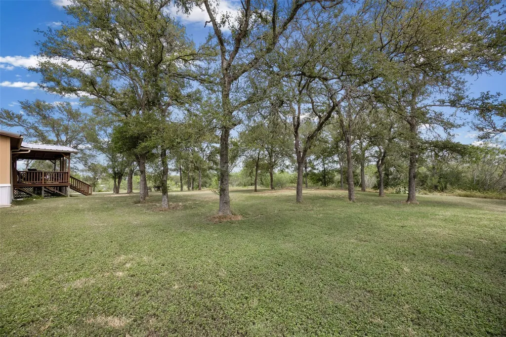 153 Saldana Drive Cedar Creek TX 78612