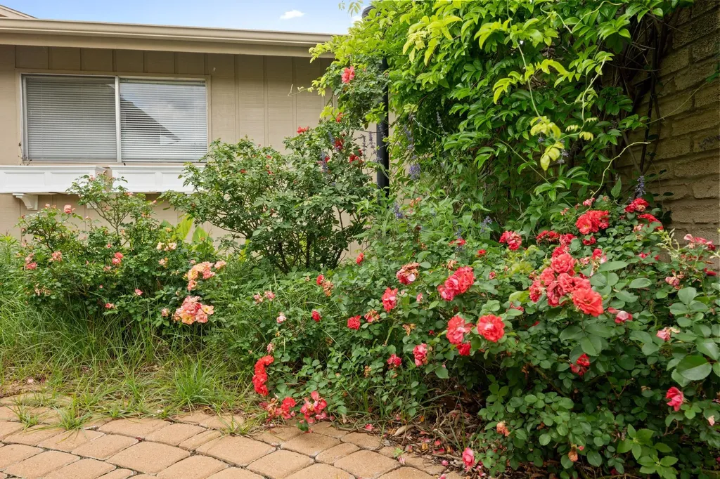 8107 Middle Court Austin TX 78759