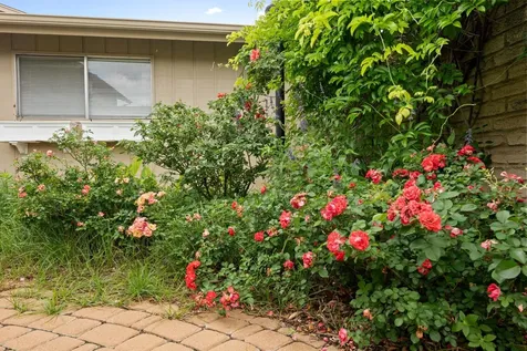 8107 Middle Court Austin TX 78759