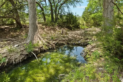 1128 Posey Ranch Road Fischer TX 78623