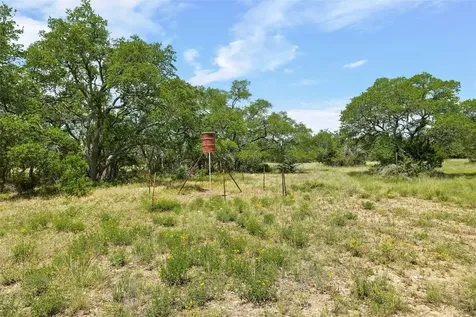1128 Posey Ranch Road Fischer TX 78623